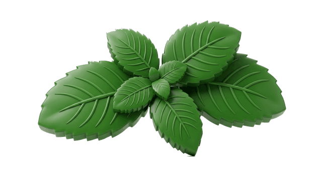 Mint