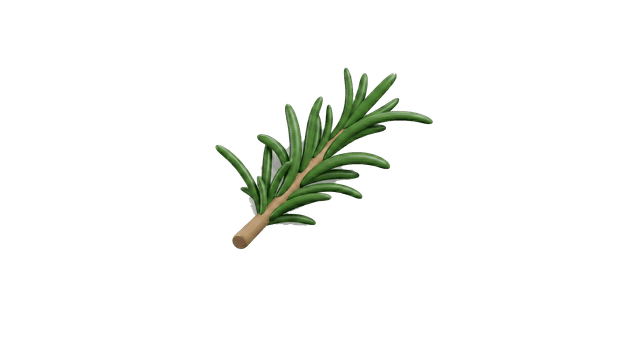Rosemary